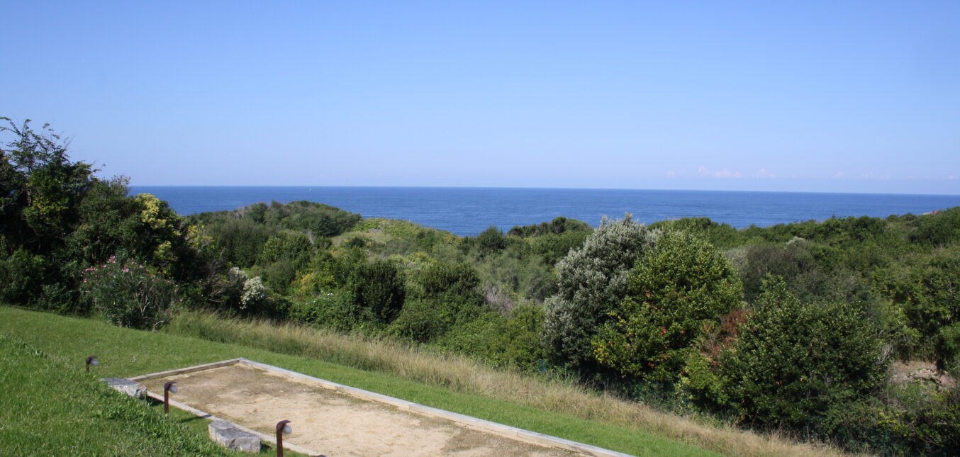 Un nid protégé sur la falaise